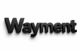 Логотип Wayment — виртуальная карта