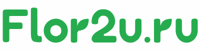 Логотип Flor2u.ru